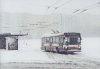 Dvojicí snímků se ještě vracíme k letošnímu na sníh bohatému březnu – při sněhové kalamitě v pondělí 18. 3. 2013 byl při výjezdu ze smyčky Osová zvěčněn trolejbus linky 37 evid. č. 3019 a k zastávce »Osová« přijíždí od lískovecké konečné souprava Varia LF s vlekem evid. č. 1551+1303 jako vlak linky 6. Odpoledne kolem 15. hodiny ještě doprava s mírnými zpožděními fungovala, po několika hodinách však zcela zkolabovala. Foto © Ladislav Kašík.