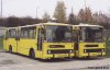 Začátkem prosince začal brněnský dopravní podnik provozovat bezplatnou autobusovou linku pro zákazníky obchodního centra Shopping Park – pro tento účel byly vyhrazeny čtyři autobusy typu B732, které při této příležitosti obdržely žlutomodrý reklamní nátěr. Na snímku z 19. 11. 2001 jsou dva z těchto vozů (evid. č. 7271 a 7307) zachyceny na nádvoří autobusových garáží ve Slatině ještě v základním žlutém nátěru bez modrých doplňků, foto © Jaroslav Pacholík 