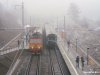  Alespoň dvěma snímky přibližujeme slavnostní otevření nové železniční zastávky Brno–Lesná na trati č. 250 z Brna do Tišnova, které proběhlo v pátek 15. 12. 2006. Na fotografii pořízené z lávky pro pěší (mezi Okružní a Sládkovou ulicí) je zachycen okamžik prvního oficiálního zastavení vlaků v nové zastávce, na nástupišti pro směr do Tišnova (vlevo) probíhá oficiální akt otevření za účasti významných hostů. Na druhém snímku je pak zvěčněna ona lávka pro pěší, na kterou byla v rámci výstavby zastávky doplněna schodiště pro sestup na obě nástupiště. Foto © Jiří Ambros.