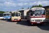 O víkendu 28. a 29. 4. 2018 mohli zájemci opět navštívit areál řečkovického depozitáře TMB. K vidění byla kompletní sbírka historických autobusů TMB včetně několika hostujících vozidel. Na snímcích historické autobusy Tatra 500HB a Karosa B 732 evid. č. 7216, Karosa LC736.20 (historický vůz společnosti BusLine) a ŠL11.1311, ŠM11 evid. č. 2834 a ŠL11 TMB. Z nákladních a užitkových vozidel autojeřáb Tatra 111, Praga S5 a autojeřáb na podvozku Tatry 813. Foto © Ladislav Kašík.